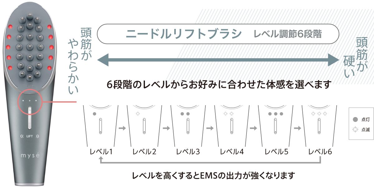 EMSレベル6段階