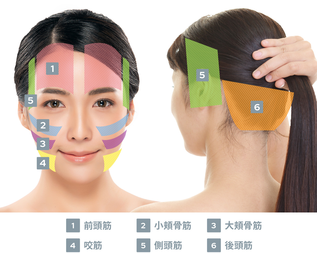 myse ミーゼ スカルプリフト アクティブプラス-